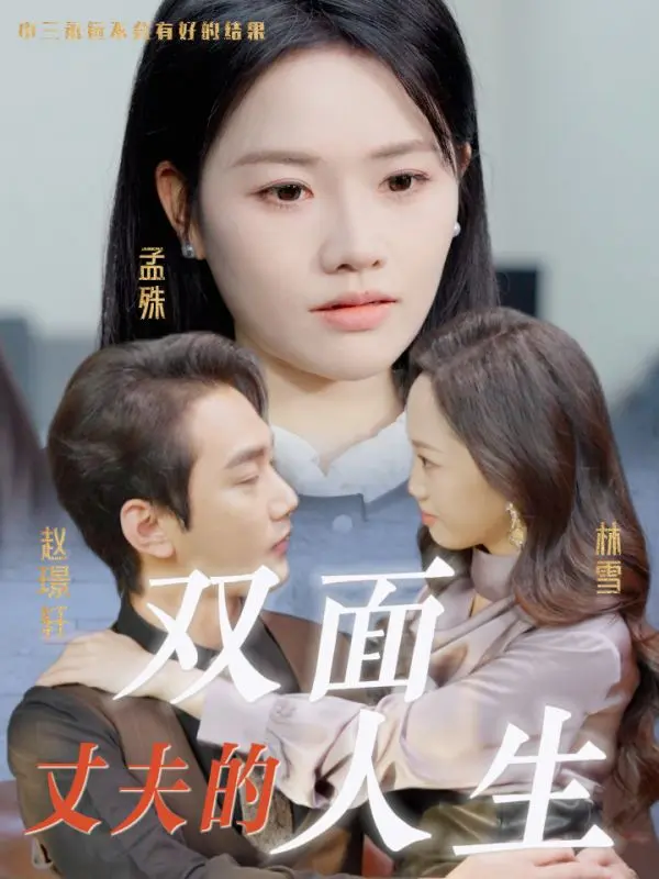 《丈夫的双面人生》全集高清完整版在线观看与剧情解析