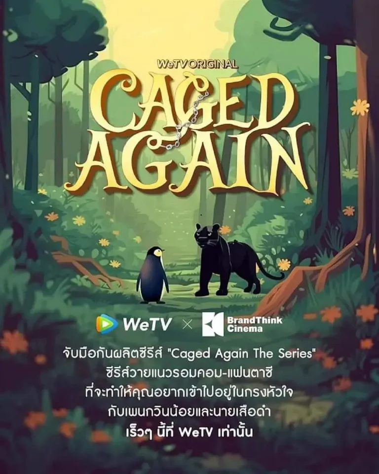 《再次被关》全集高清完整版在线观看与剧情解析