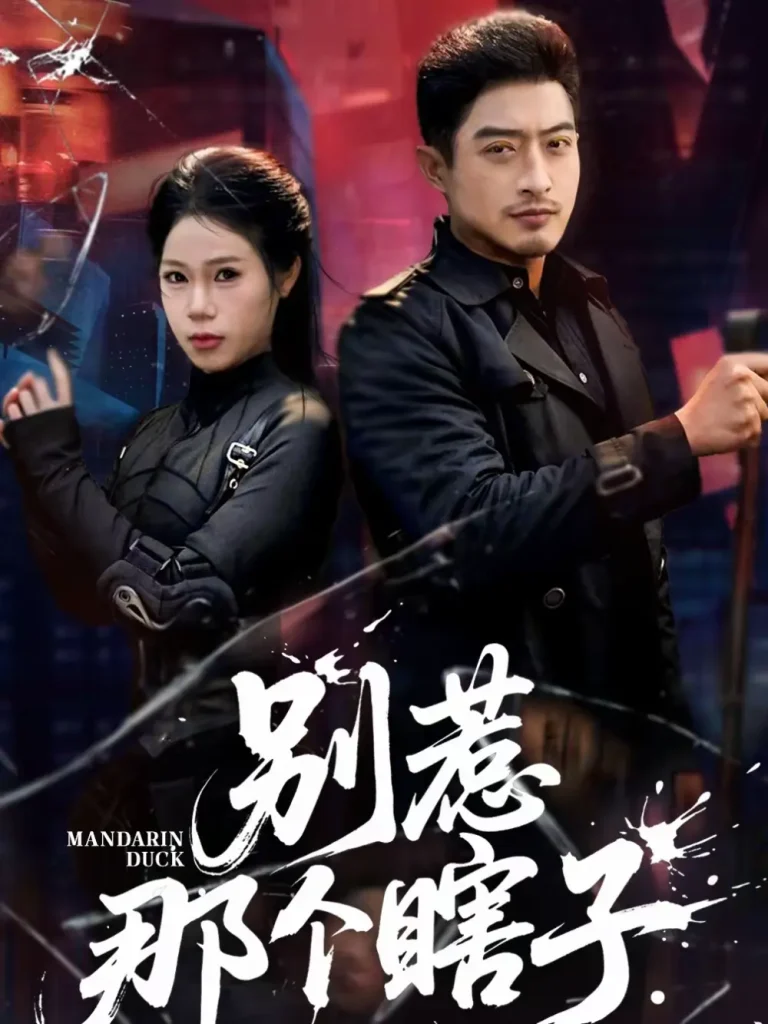 《别惹那个瞎子》全集高清完整版在线观看与剧情解析