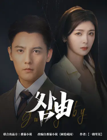 《咎由》全集高清完整版在线观看与剧情解析