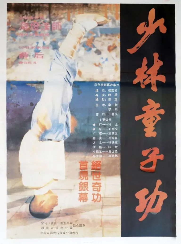 《少林童子功1984[电影解说]》全集高清完整版在线观看与剧情解析