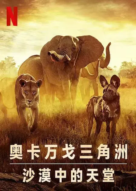 《幸存的天堂[电影解说]》全集高清完整版在线观看与剧情解析