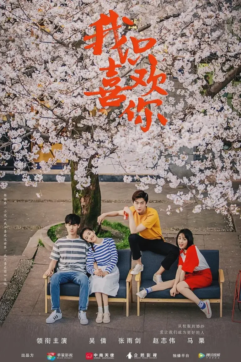 《我只喜欢你》全集高清完整版在线观看与剧情解析