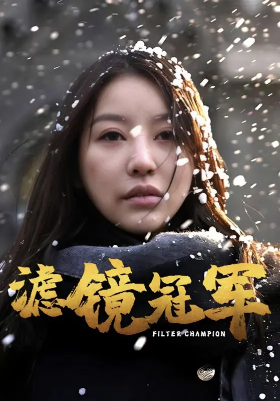 《滤镜冠军》全集高清完整版在线观看与剧情解析