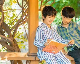 《白事先生》全集高清完整版在线观看与剧情解析