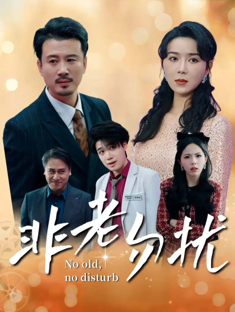 《非老勿扰》全集高清完整版在线观看与剧情解析