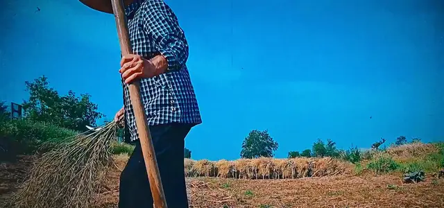 《不老奇事》主题曲《一生有多远》释出山水意象歌词 | 情报图