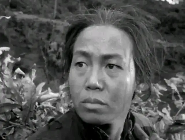 《南征北战》等十七部经典影片重映引观众重温工农兵银幕形象 | 现场图